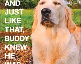 And just like that, Buddy