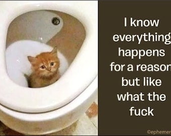 I know everything happens