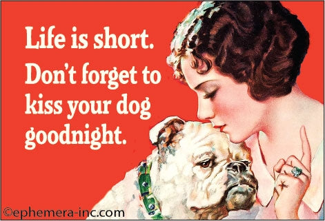 Life is short. Don't forget to kiss your dog good night.