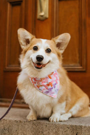 Watercolor Hearts Bandana