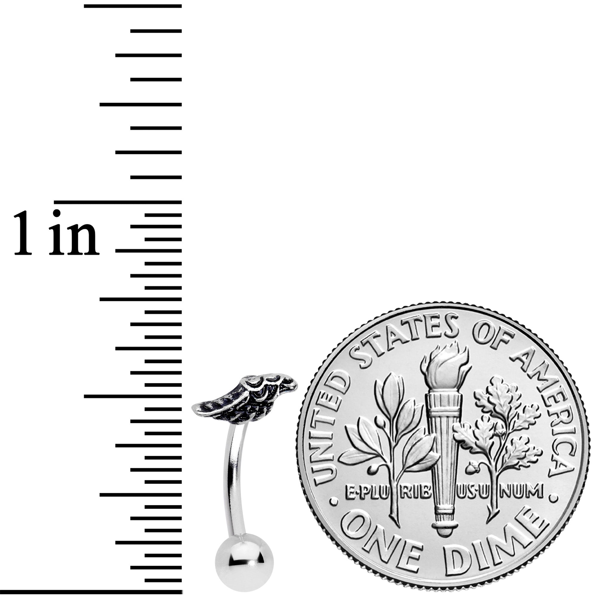 16G 5/16 Single Angels Wing Curved Eyebrow Ring