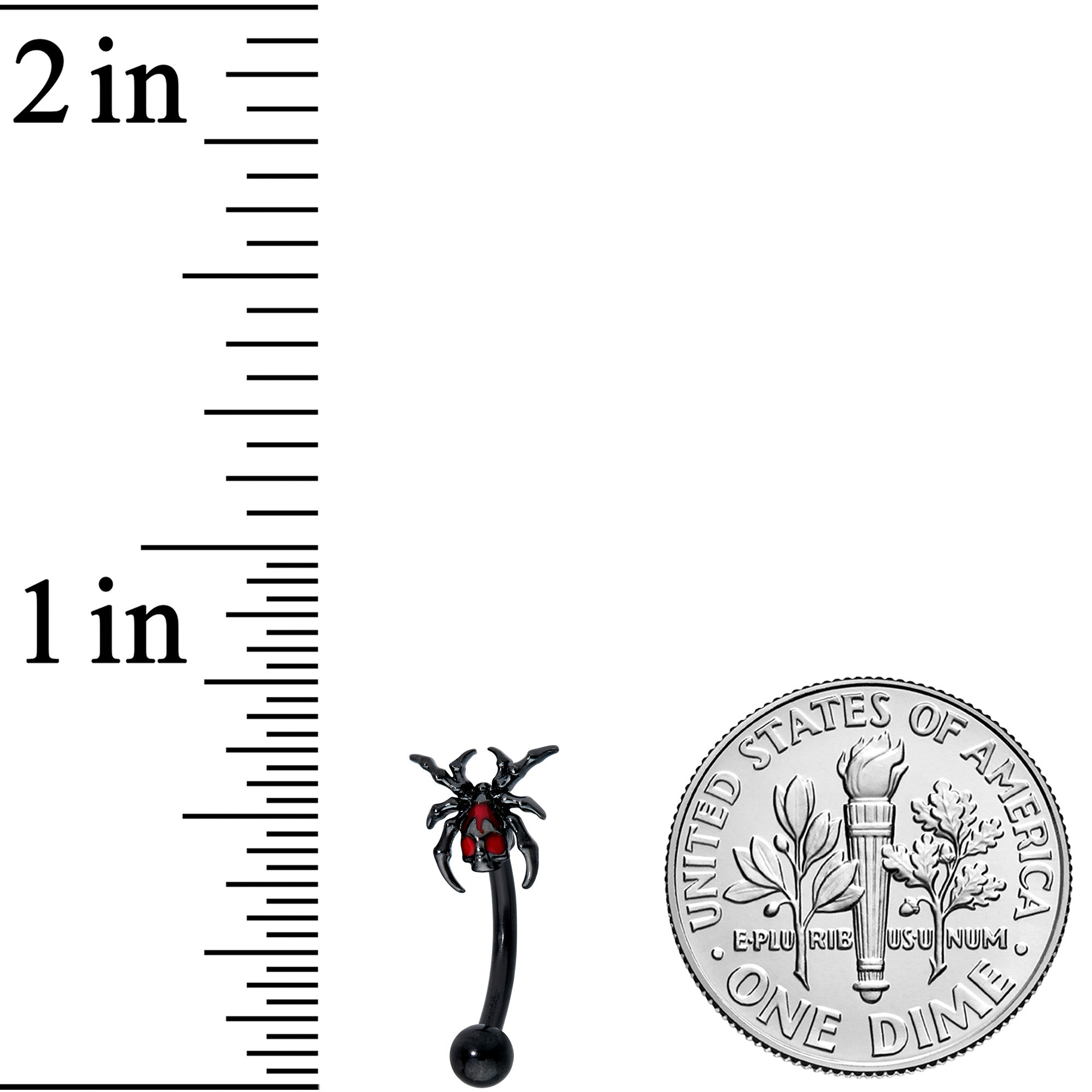 16G 5/16 Red Gem Black Spider Skull Halloween Curved Eyebrow Ring