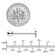 Simply Elegant Butterfly Barbell Tongue Ring