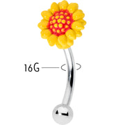 16G 5/16 Happy Sunflower Yellow Curved Eyebrow Ring