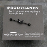 14G Purple CZ Gem Black Skull Butterfly Industrial Barbell 38mm