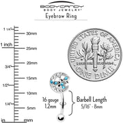 16G 5/16 Blue Gem Lunar Dragonfly Curved Eyebrow Ring