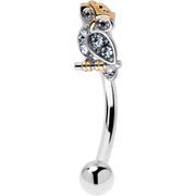 16G 5/16 Clear Gem Evening Owl Curved Eyebrow Ring