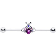 14G Pink Blue Gem Beautiful Insect Industrial Barbell 38mm