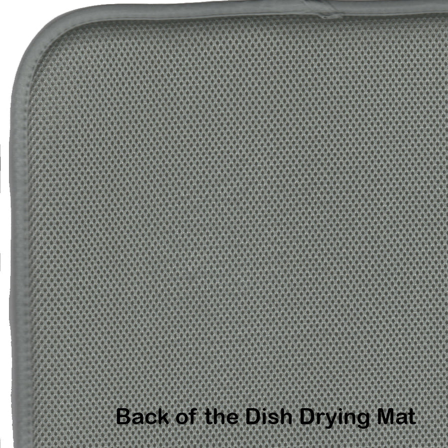 Gay Pride Parade Progress Pride Dish Drying Mat – Absorbent, Artistic Kitchen Essentials