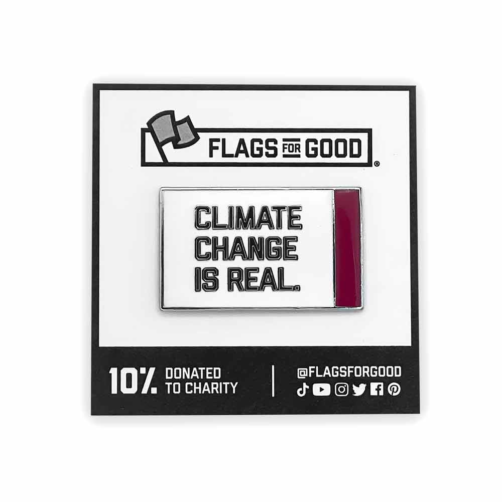 Climate Change Is Real Enamel Pin