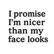"I promise I'm nicer than my face looks" Sarcastic Sticker