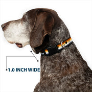 Plastic Clip Collar - Flag Bear Pride2 Black/Brown/Orange/Yellow/Tan/White/Gray/Black