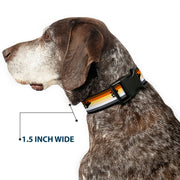 Plastic Clip Collar - Flag Bear Pride2 Black/Brown/Orange/Yellow/Tan/White/Gray/Black