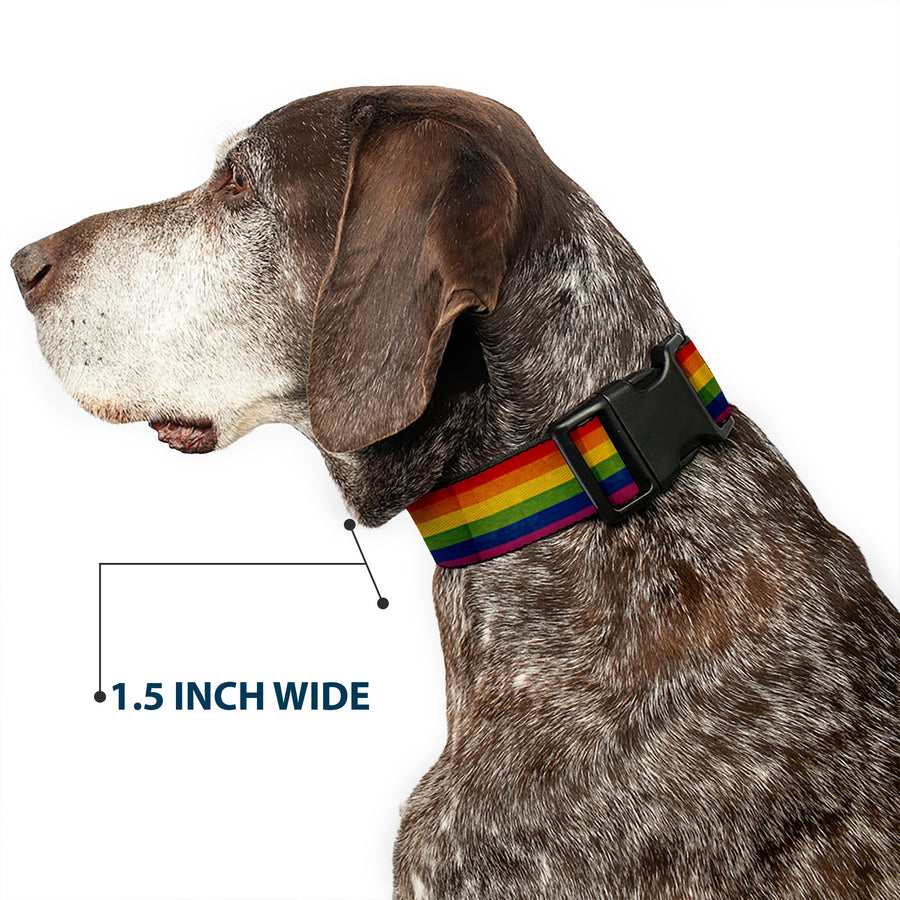 Distressed Rainbow Pride Flag Plastic Clip Collar