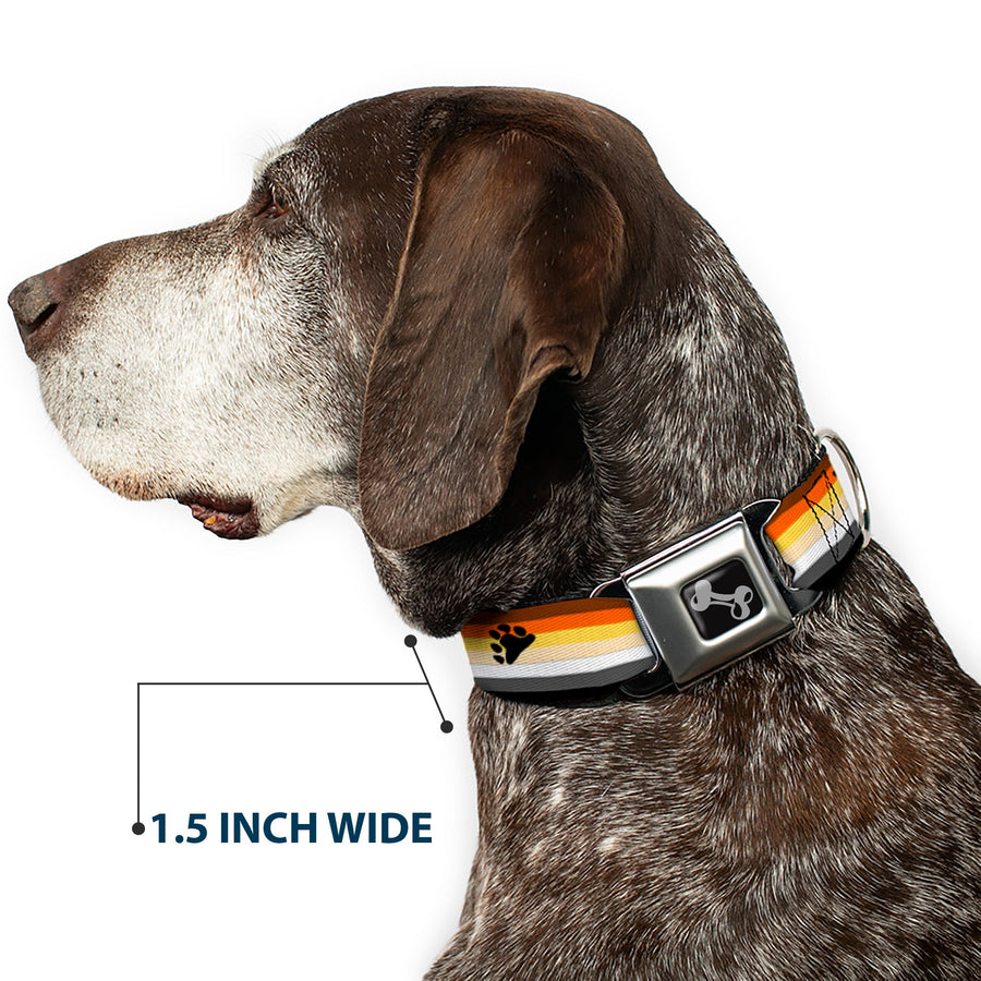 Dog Bone Seatbelt Buckle Collar - Bear Pride Flag