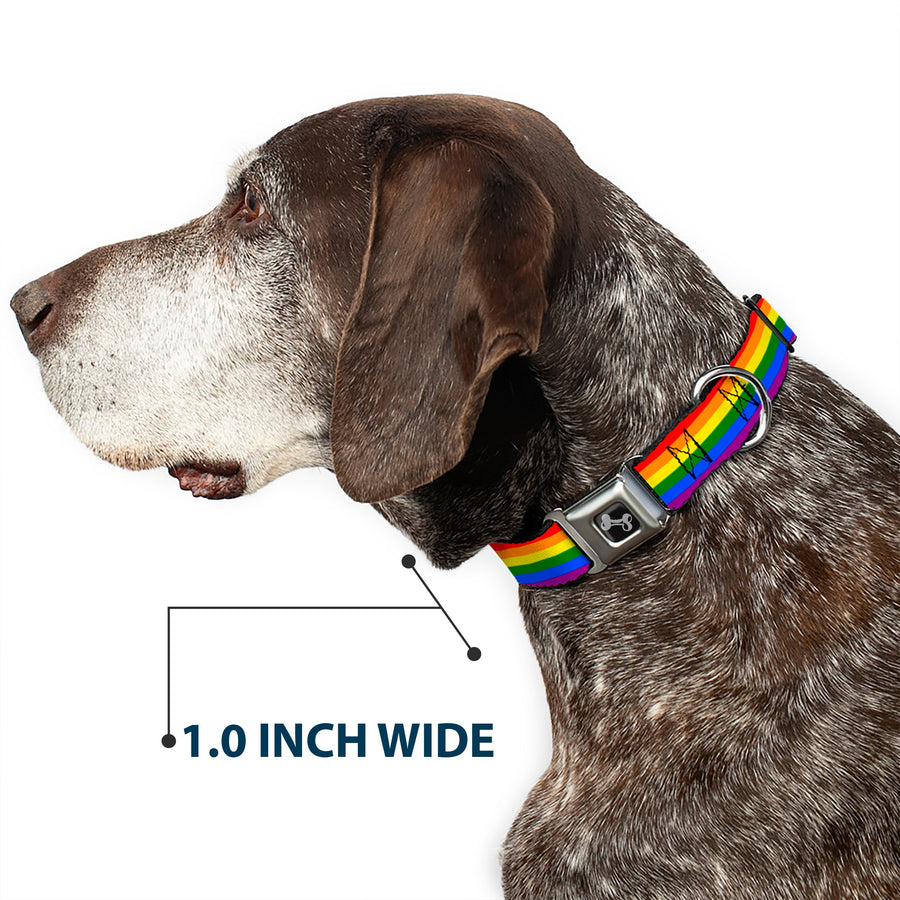 Rainbow Pride Flag Dog Bone Seatbelt Buckle Collar