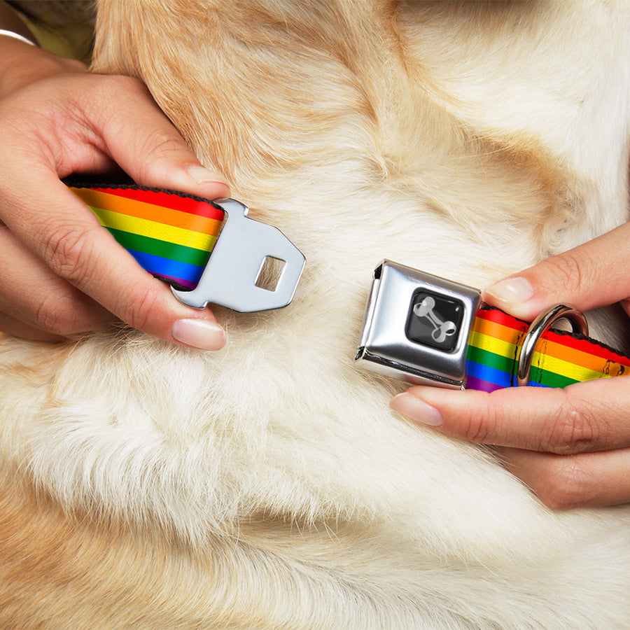 Rainbow Pride Flag Dog Bone Seatbelt Buckle Collar