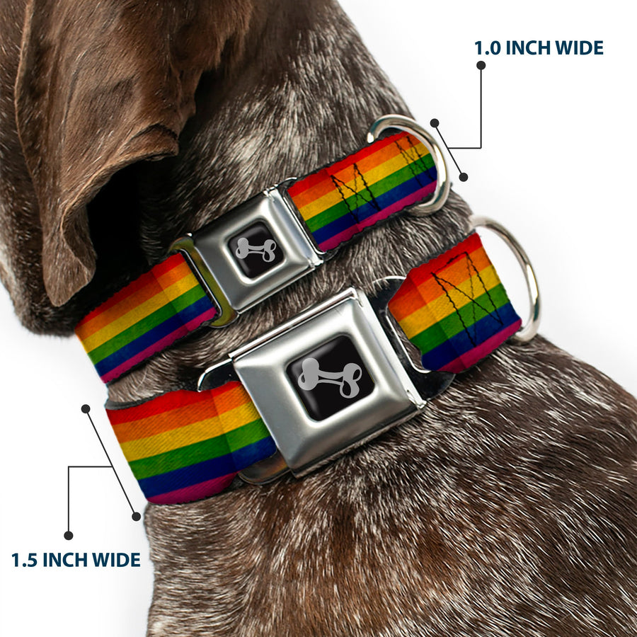 Distressed Rainbow Pride Seatbelt Buckle Collar