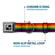 Distressed Rainbow Pride Seatbelt Buckle Collar
