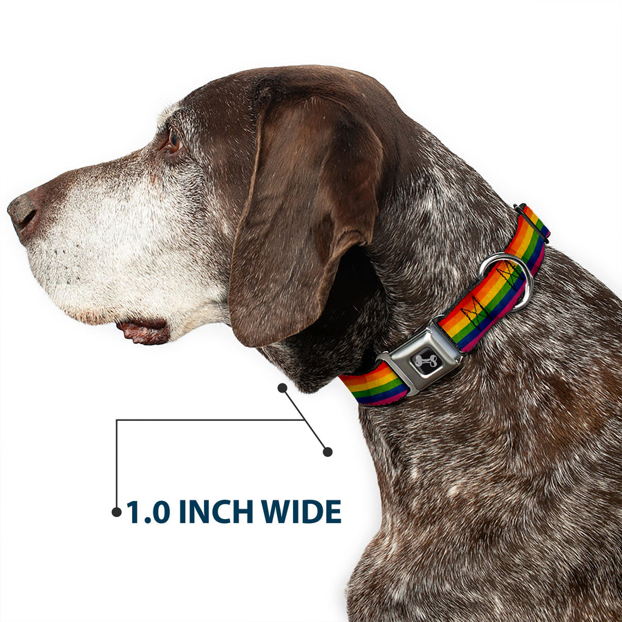 Distressed Rainbow Pride Seatbelt Buckle Collar