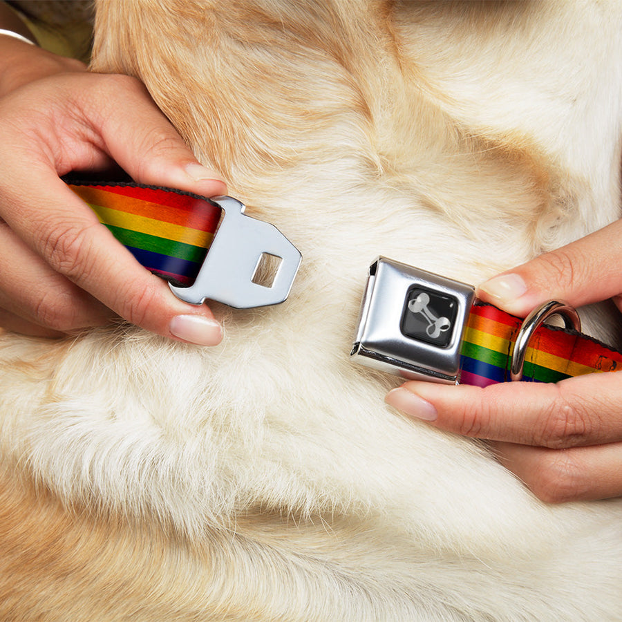 Distressed Rainbow Pride Seatbelt Buckle Collar