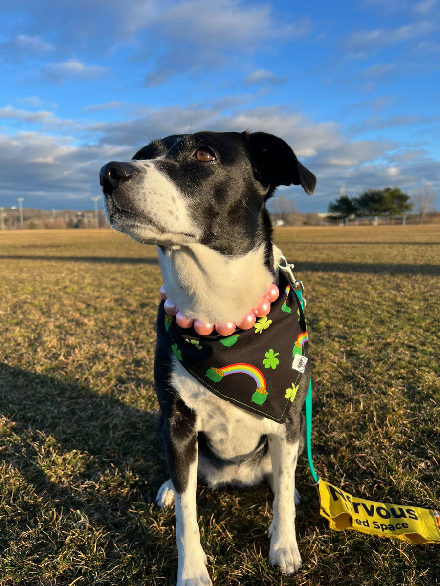 Saint Patrick's Day Pet Bandana Lucky Pots