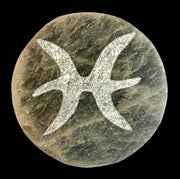 Zodiac Selenite Cleansing Coin – Crystal Cleansing & Astrology Energy Disc