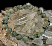 🟢 Sesame Kiwi Jasper Bracelet – 8mm Beads, Medium Wrists