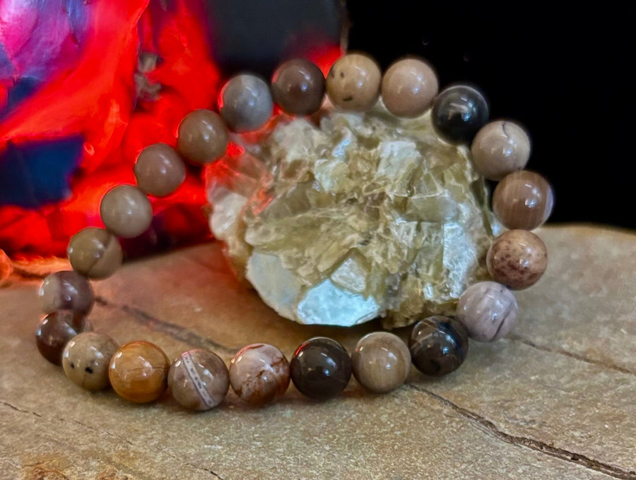 🌳 Petrified Wood Bracelet – 8mm Beads, Medium Wrists