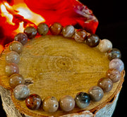 🌳 Petrified Wood Bracelet – 8mm Beads, Medium Wrists