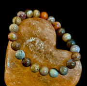 🌳 Petrified Wood Bracelet – 8mm Beads, Medium Wrists