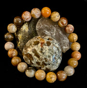 🌳 Petrified Wood Bracelet – 8mm Beads, Medium Wrists