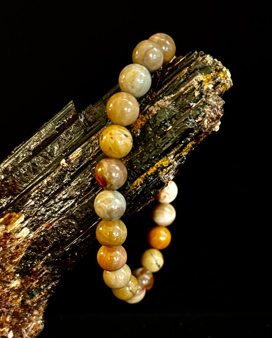 🌳 Petrified Wood Bracelet – 8mm Beads, Medium Wrists