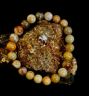 🌳 Petrified Wood Bracelet – 8mm Beads, Medium Wrists