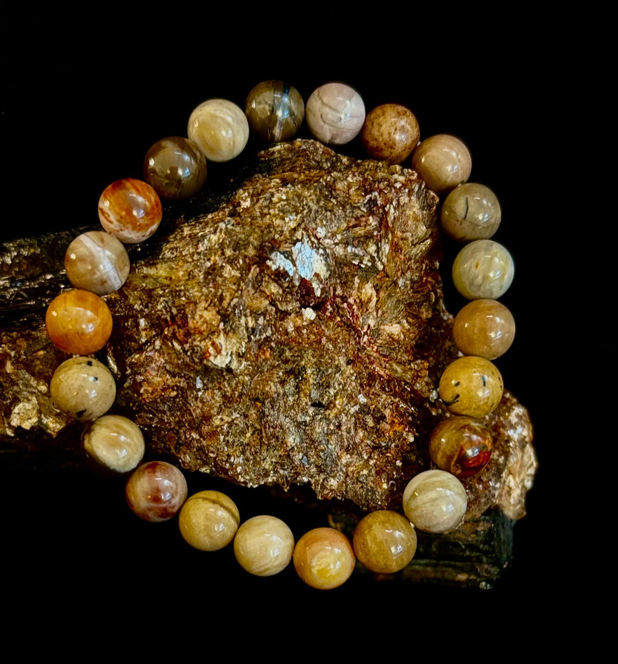 🌳 Petrified Wood Bracelet – 8mm Beads, Medium Wrists