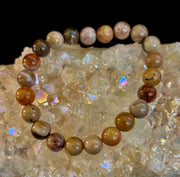 🌳 Petrified Wood Bracelet – 8mm Beads, Medium Wrists
