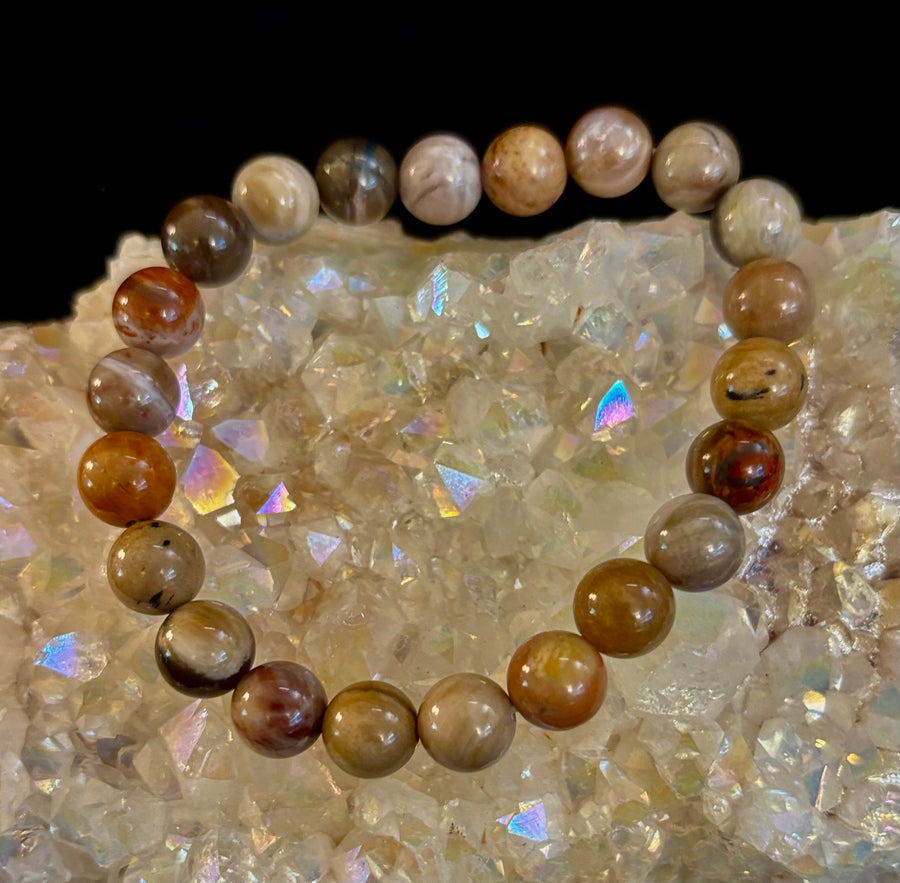 🌳 Petrified Wood Bracelet – 8mm Beads, Medium Wrists