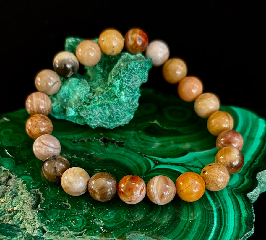 🌳 Petrified Wood Bracelet – 8mm Beads, Medium Wrists