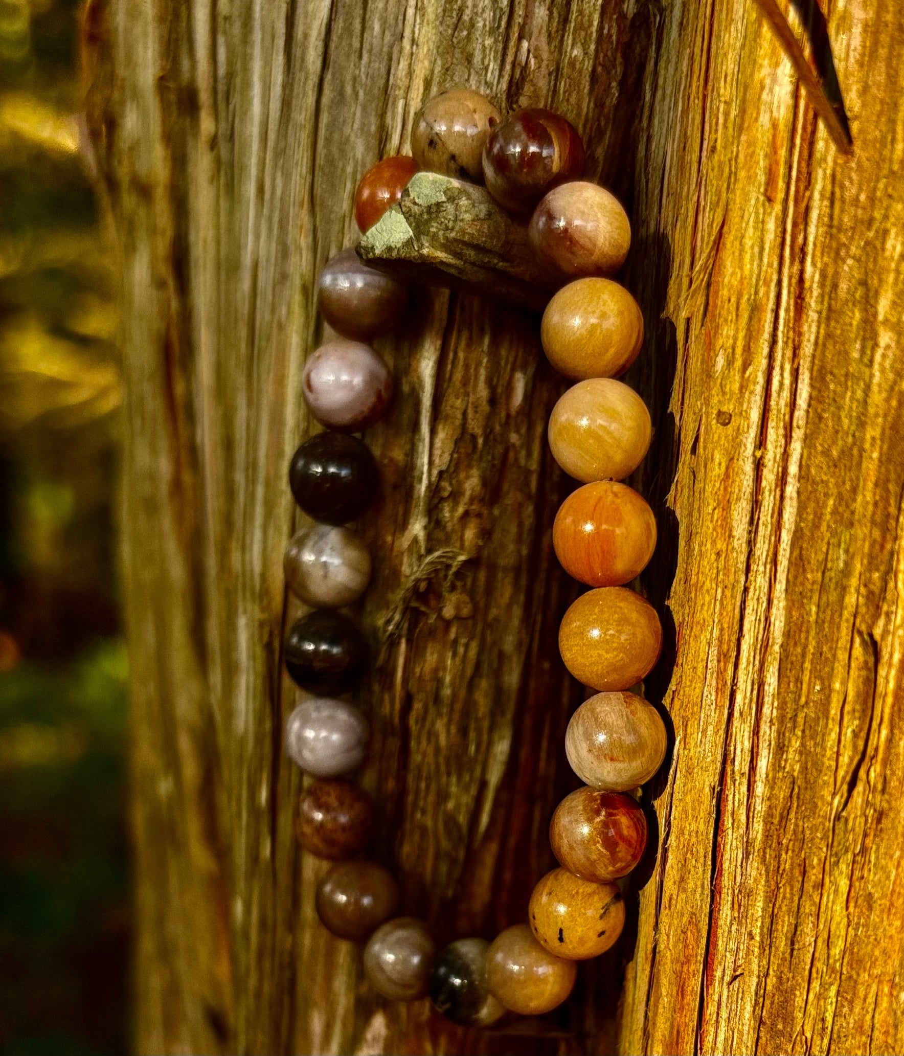 🌳 Petrified Wood Bracelet – 8mm Beads, Medium Wrists