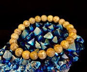 Fossil Coral Bracelet – Natural Grounding Stone for Stability & Calm