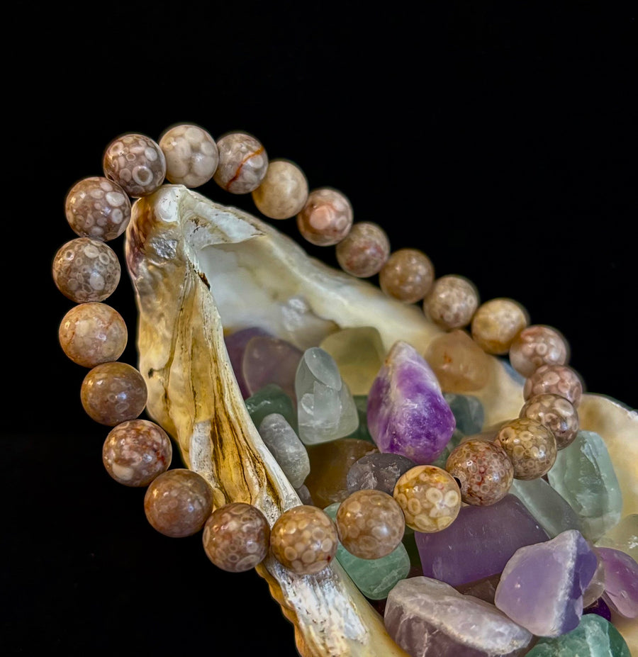Fossil Coral Bracelet – Natural Grounding Stone for Stability & Calm