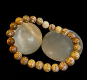 Fossil Coral Bracelet – Natural Grounding Stone for Stability & Calm
