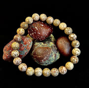 Fossil Coral Bracelet – Natural Grounding Stone for Stability & Calm
