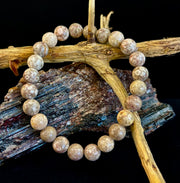 Fossil Coral Bracelet – Natural Grounding Stone for Stability & Calm