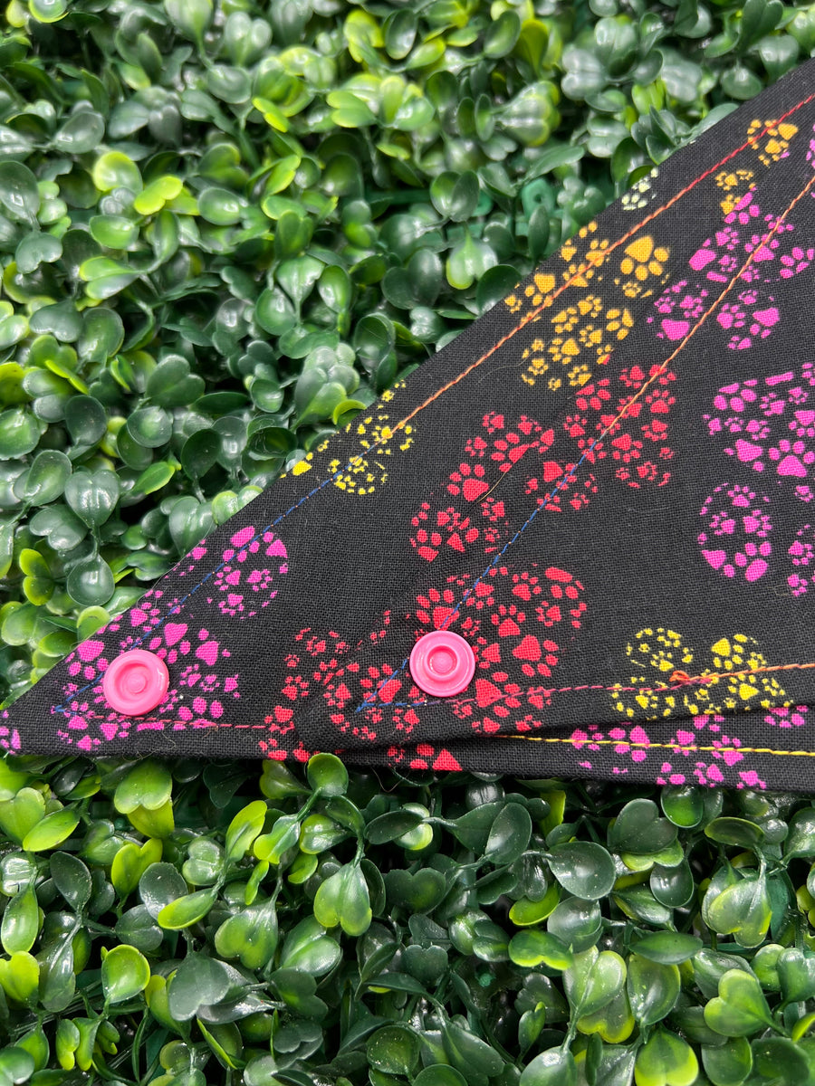 Pawprint Rainbow Bandana
