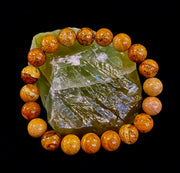 Earth Journey Picture Jasper Bracelet – Reiki-Infused 10mm (Medium–Large Wrists)