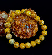 Earth Journey Picture Jasper Bracelet – Reiki-Infused 10mm (Medium–Large Wrists)