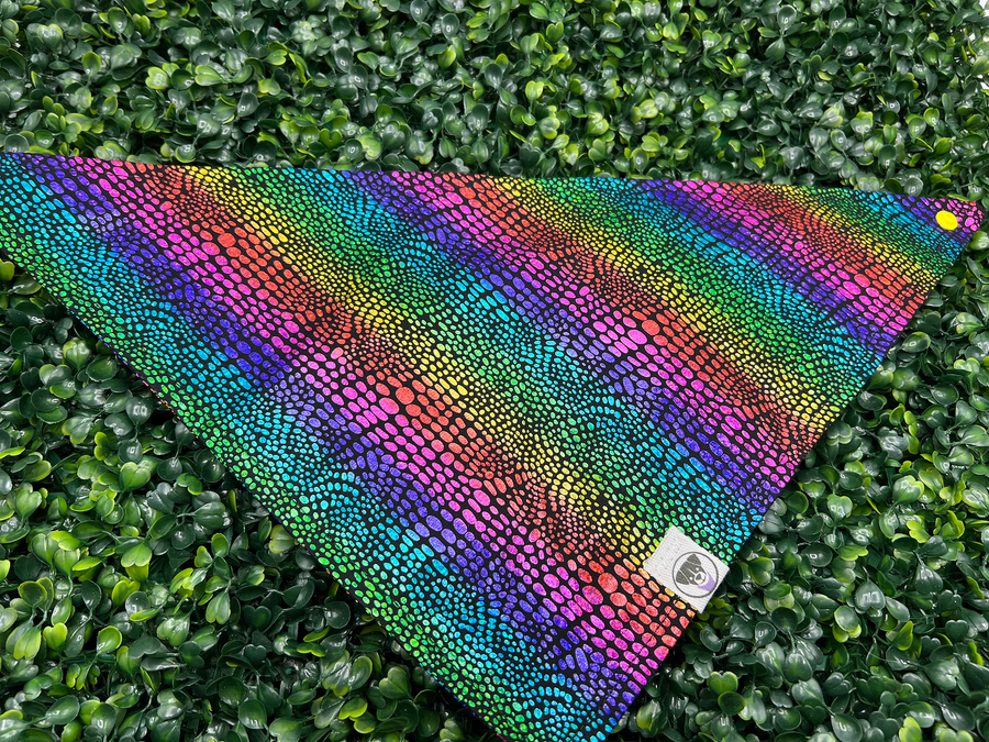 Metallic Rainbow Bandana