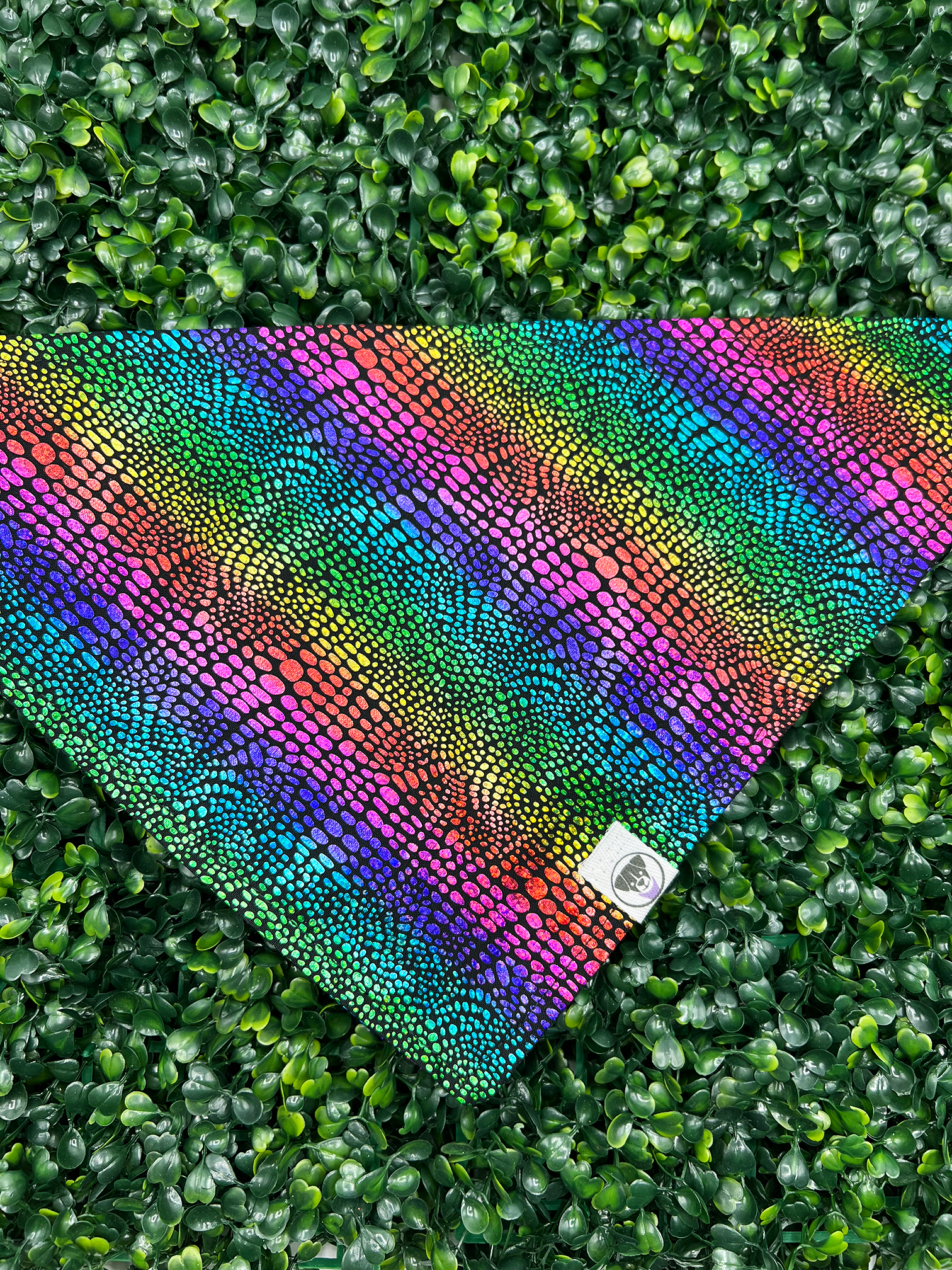 Metallic Rainbow Bandana