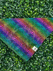 Metallic Rainbow Bandana